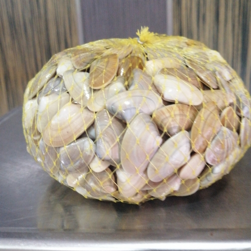 Conquilha Kg