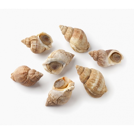 Buzio Francês Cozido Embalagem 250g