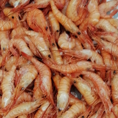 Camarão Da Costa Cozido Embalagem 250g