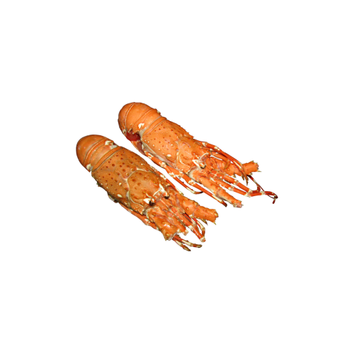 Lagosta Cozida-Unidade (Peso Aprox. 250g)