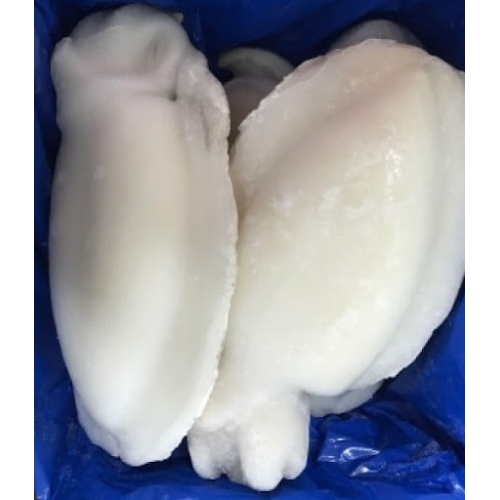 Choco Limpo Congelado- Unidade Aprox. 1Kg