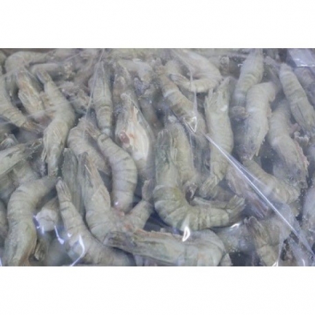 Camarão Calibre 31-40 De Aquicultura Congelado Embalagem de 500g