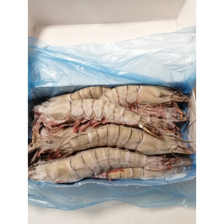 Camarão Tigre Calibre 1-10 De Moçambique Congelado Embalagem Kg