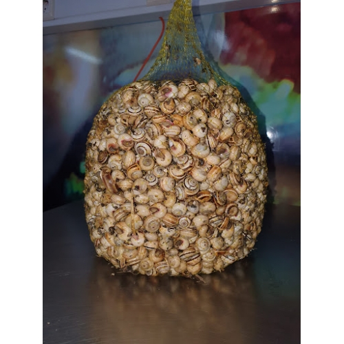 Caracol Saco 5 Kg