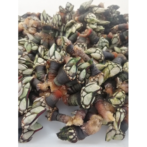 Percebes Nacionais Cozidos Embalagem 250g