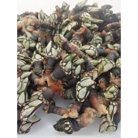 Percebes Nacional- Embalagem 250g