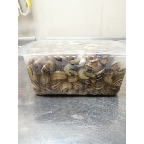 Caracoleta Cozida Embalagem nº 3 (1,5 Lt)