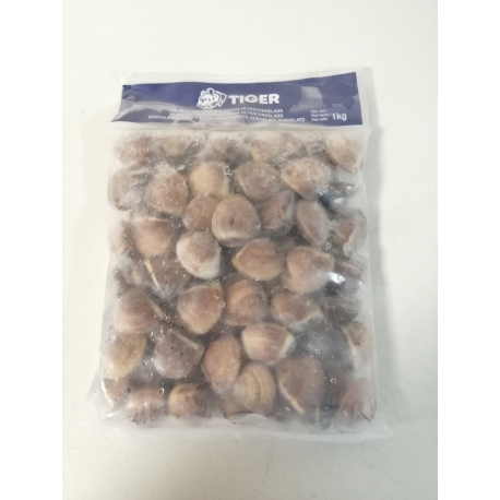 Amêijoa Castanha-Congelada Embalagem Kg