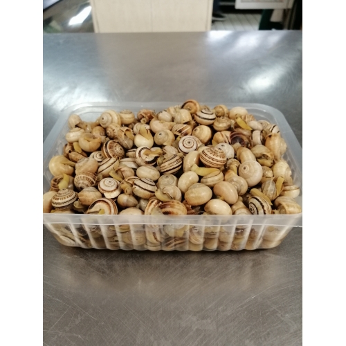 Caracol Cozido Balde nº 2 (5 Lt)