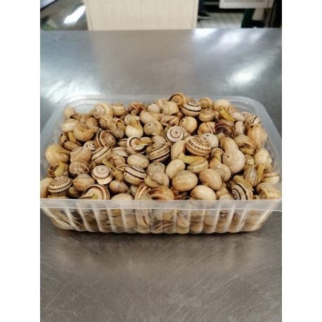 Caracol Cozido Embalagem nº 3 (1,5 Lt)