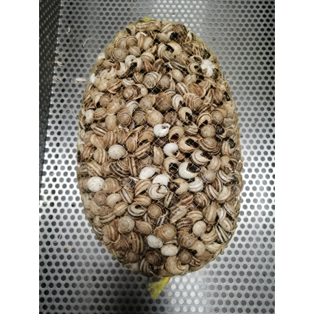 Caracoleta Riscada Saco 5Kg